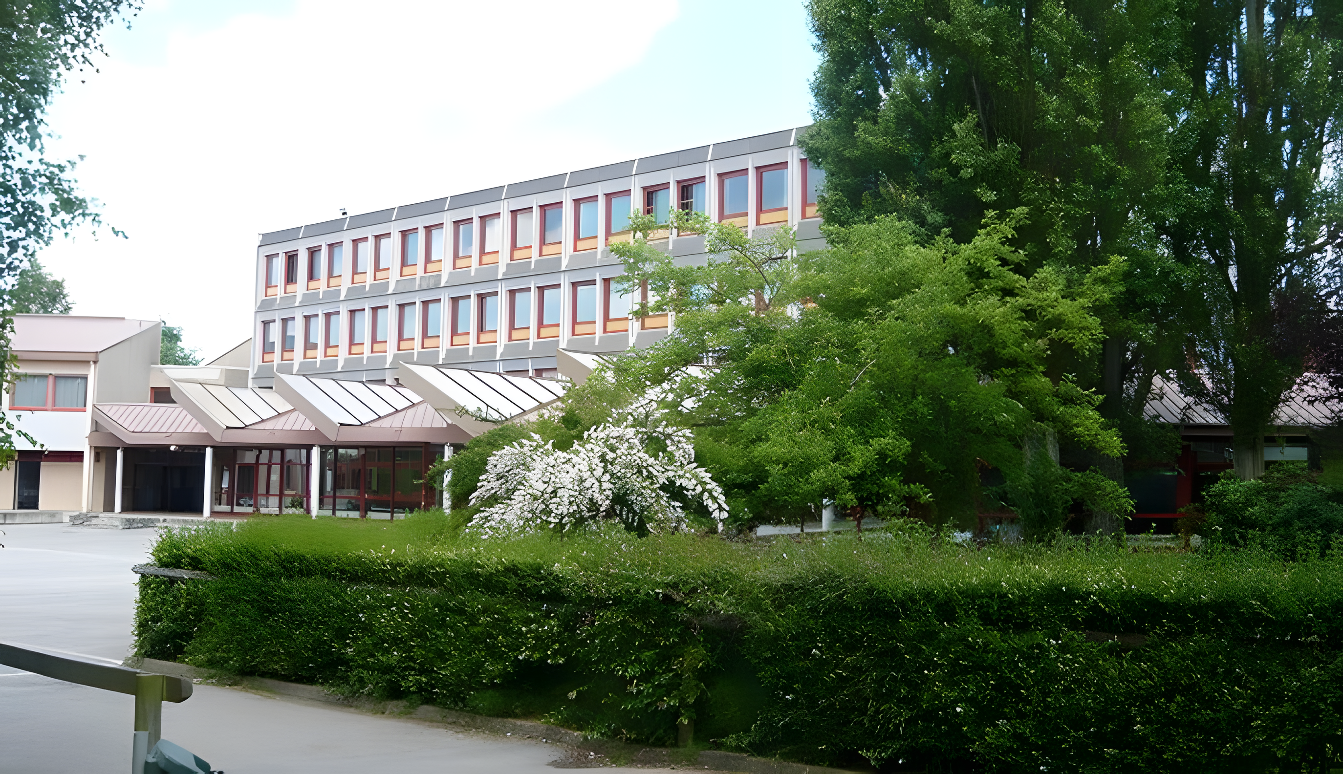 Image1